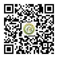 二维码 二维码