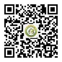 二维码2 二维码2