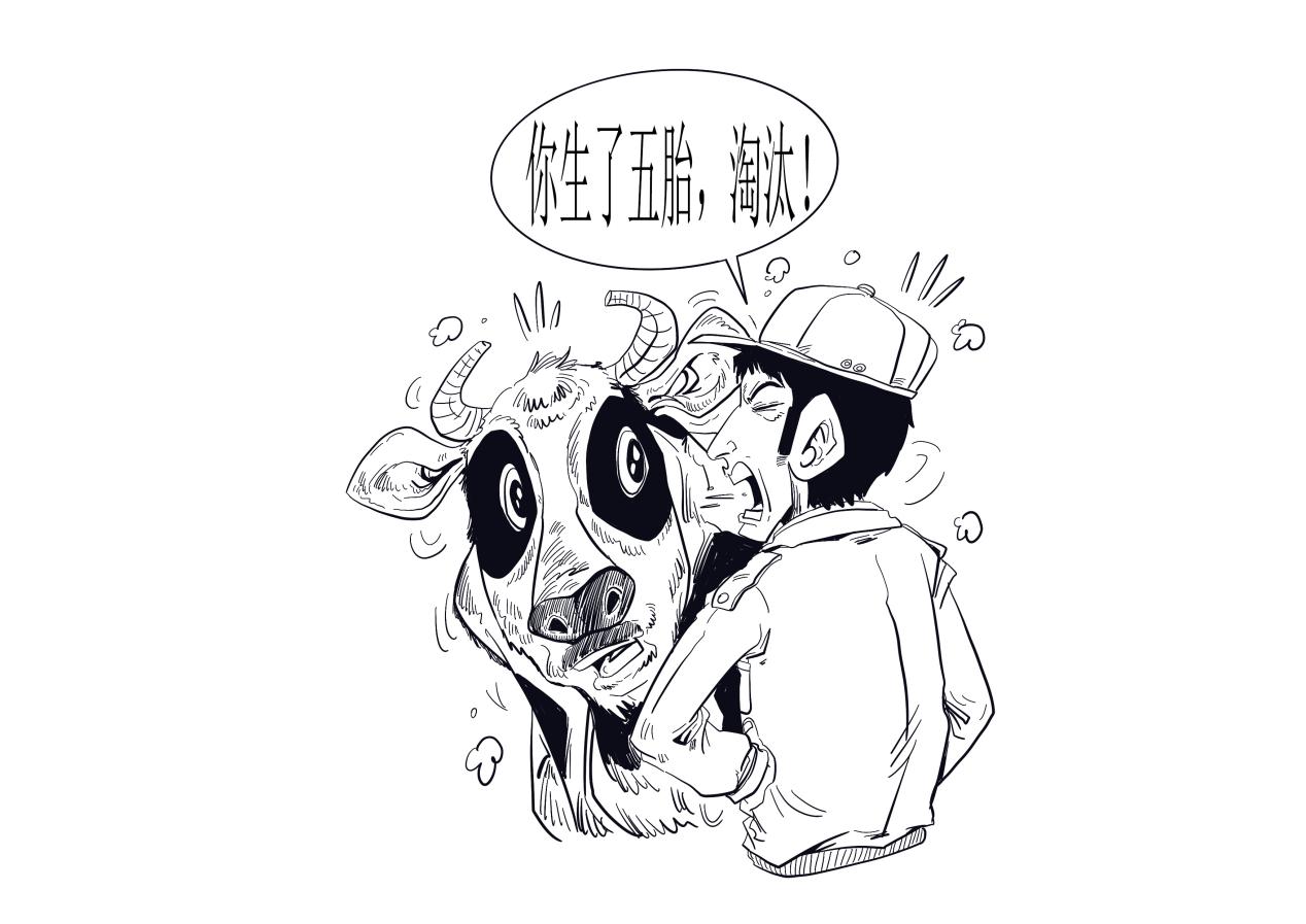 02.jpg
