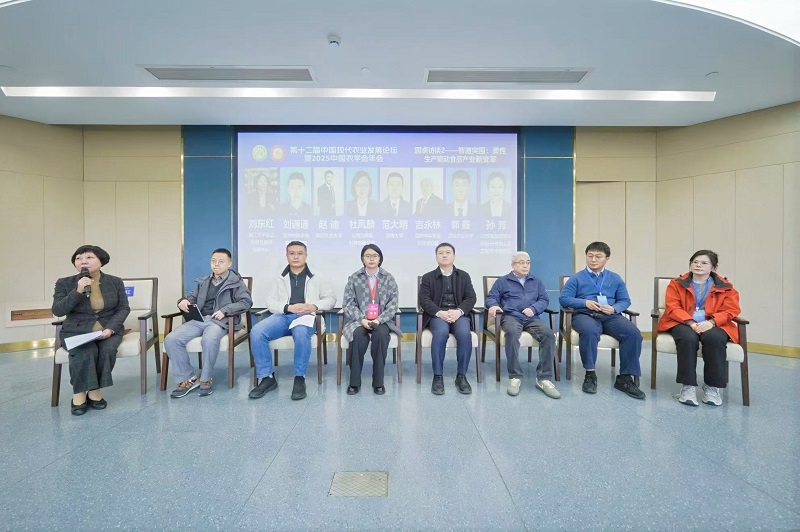 圆桌访谈二.jpg