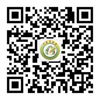 会员注册